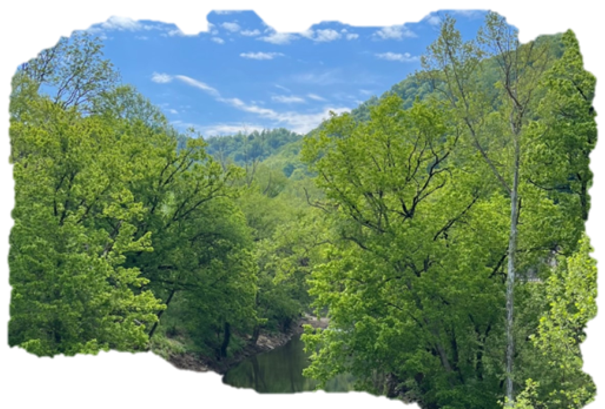 Prospering Pathway Making Our Pathway Prosperous Through His Word