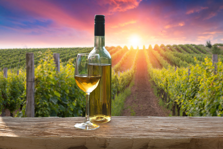 A fresh chilled glass of ice wine overlooking a Canadian vineyard during a Summer sunset